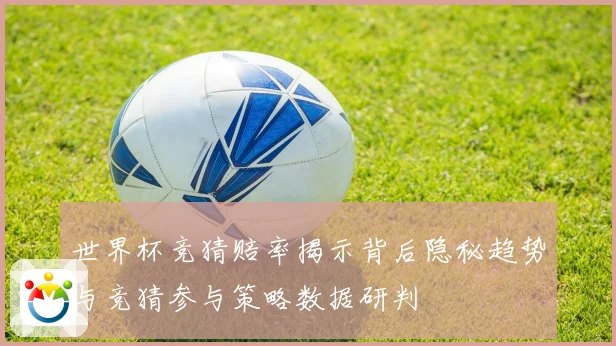 世界杯竞猜赔率揭示背后隐秘趋势与竞猜参与策略数据研判