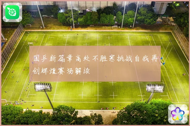 国乒新篇章高处不胜寒挑战自我再创辉煌赛场解读