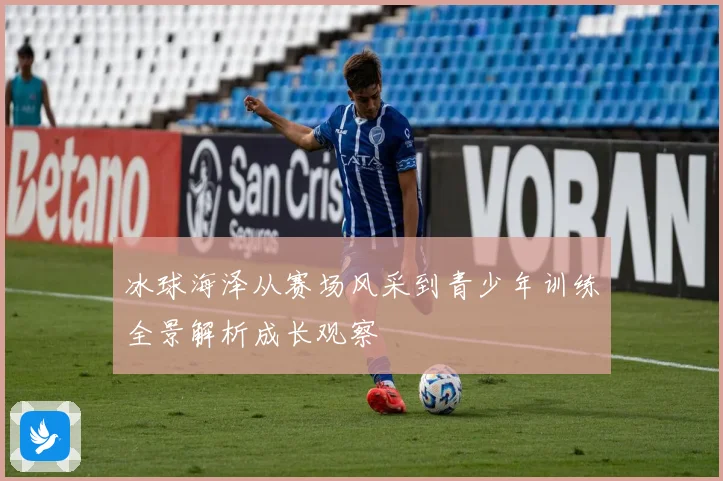 冰球海泽从赛场风采到青少年训练全景解析成长观察