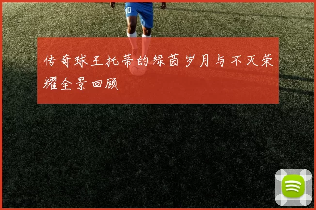 传奇球王托蒂的绿茵岁月与不灭荣耀全景回顾